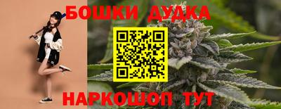 сатива Нальчик
