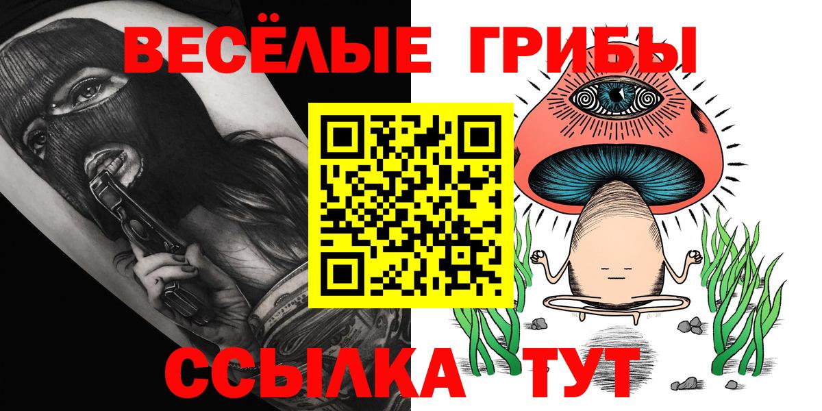 Псилоцибиновые грибы Cubensis  Вход с VPN  Партизанск 