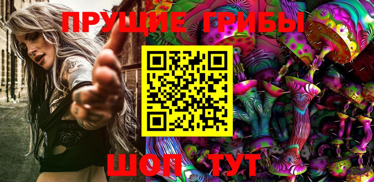 Псилоцибиновые грибы Cubensis Партизанск